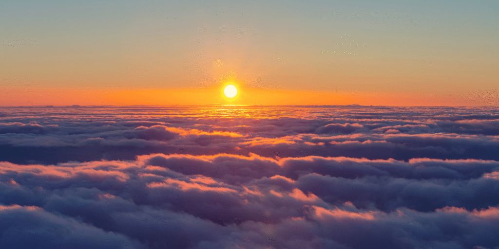 Patricia Eugenia, Nueva Tierra