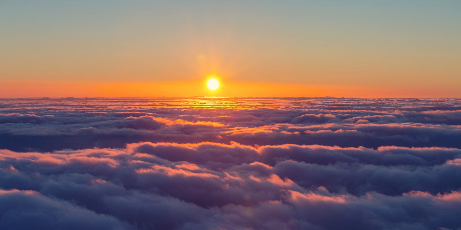 Patricia Eugenia, Nueva Tierra