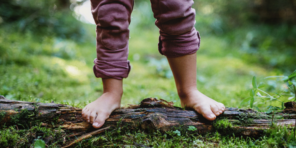 Patricia Eugenia, Nueva Tierra Vision
