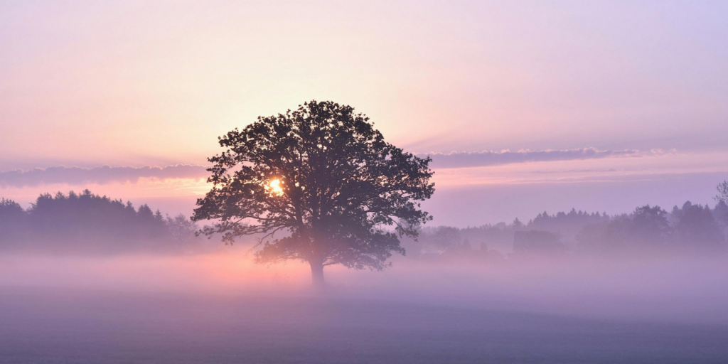 Haz esto Ahora, Despertaste_Patricia Eugenia